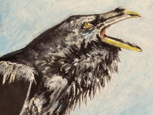 oiseau noir