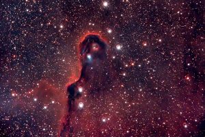 Partie de la nébuleuse Trompr d'éléphant