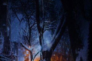 La neige, la nuit, la ville