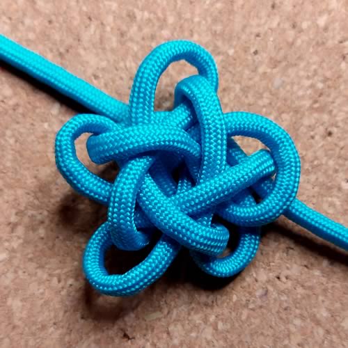 Noeud en progression C