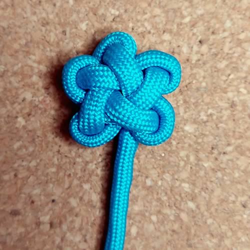 Noeud en progression D