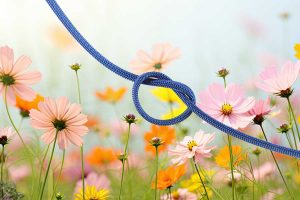Noeud simple dans un champ de fleurs