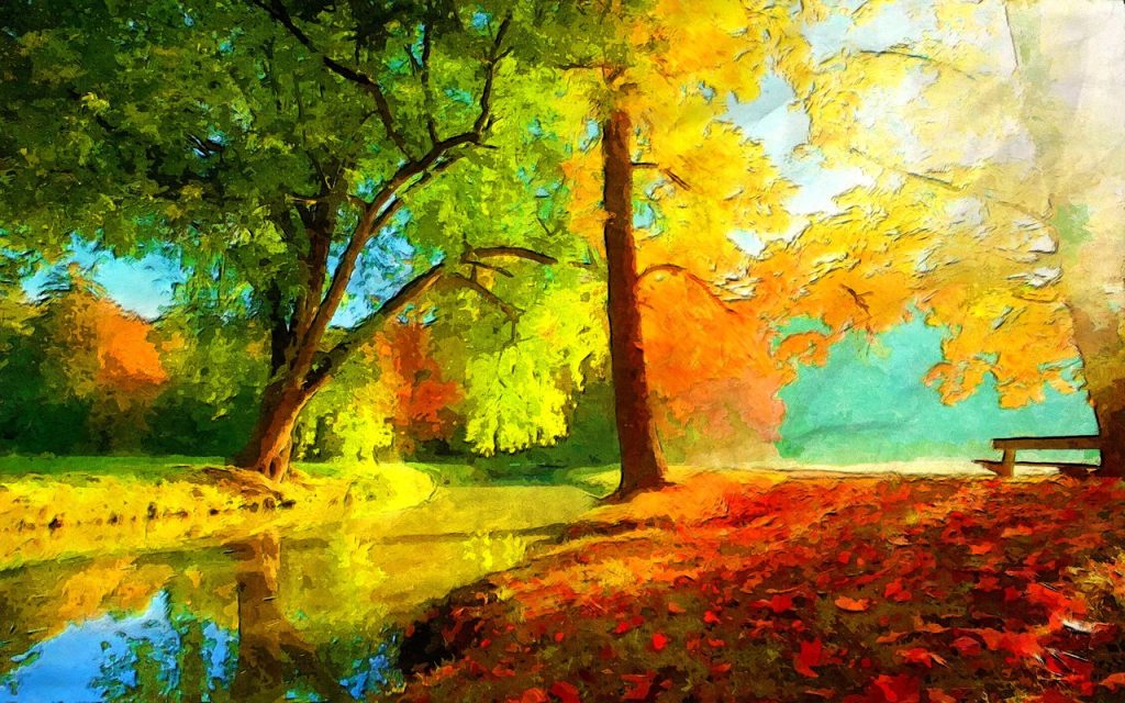 walk in a park, water, tree-4906730.jpg