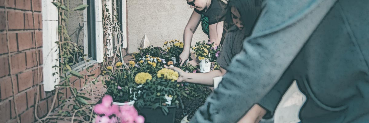 Un jardin communautaire