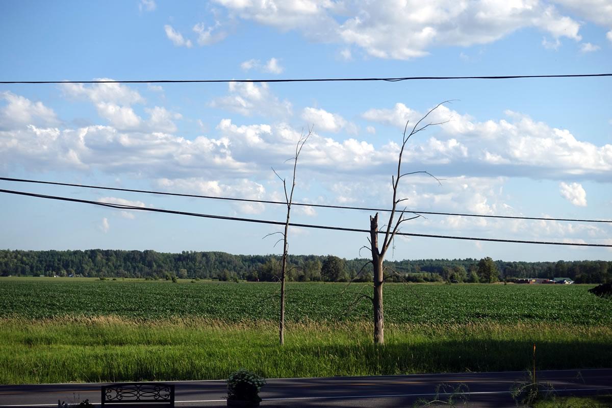 Paysage imparfait