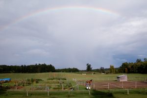 Arc-en-ciel au-dessus des champs
