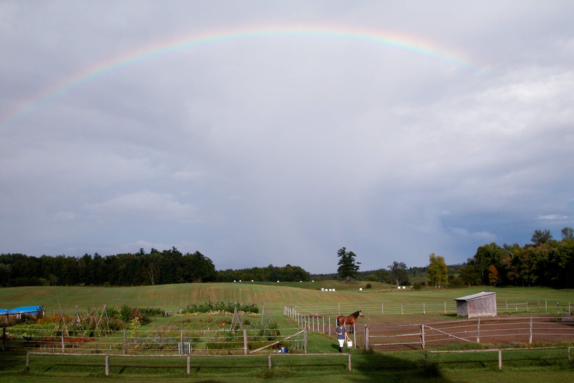 Arc-en-ciel au-dessus des champs