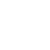 arbre-blanc