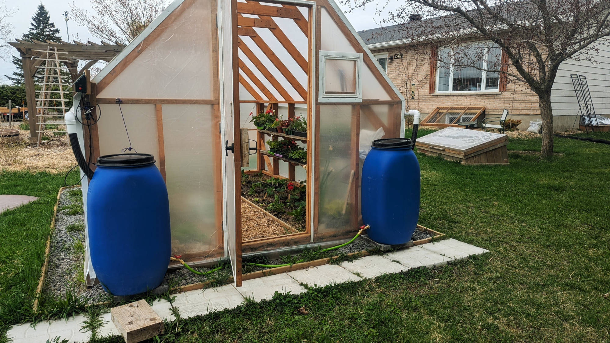 Barils installés devant la serre pour récolter l'eau de pluie